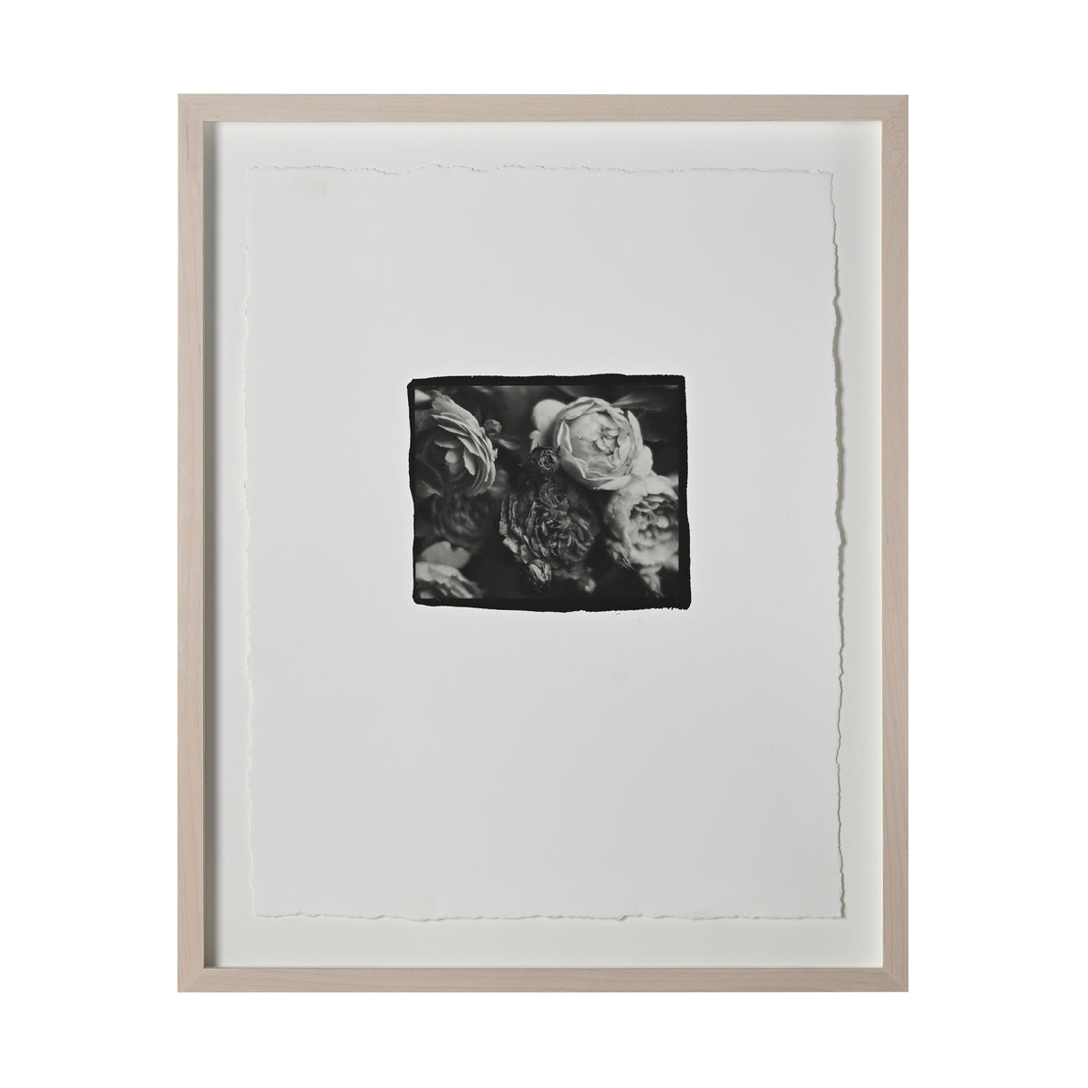 Frances Palmer, Old Roses Platinum-Palladium Print