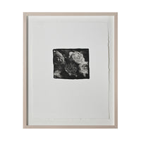 Frances Palmer, Old Roses Platinum-Palladium Print