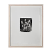 Frances Palmer, Parrot Tulips Platinum-Palladium Print