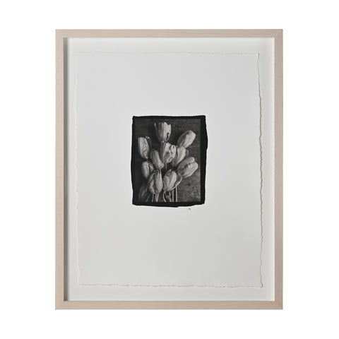 Frances Palmer, Parrot Tulips Platinum-Palladium Print