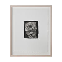 Frances Palmer, Roses Platinum-Palladium Print