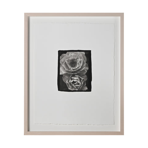 Frances Palmer, Roses Platinum-Palladium Print