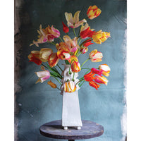 Frances Palmer, Pyramid Tulipiere
