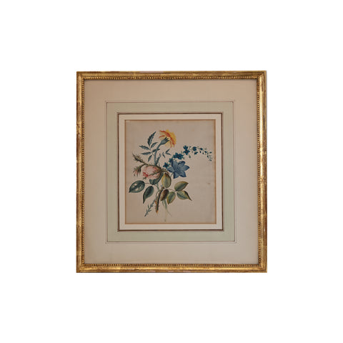 19th Century English Watercolor of Flowers