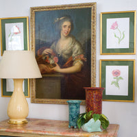 Jill Amadei, Pink Fancy Frills Fringed Tulip