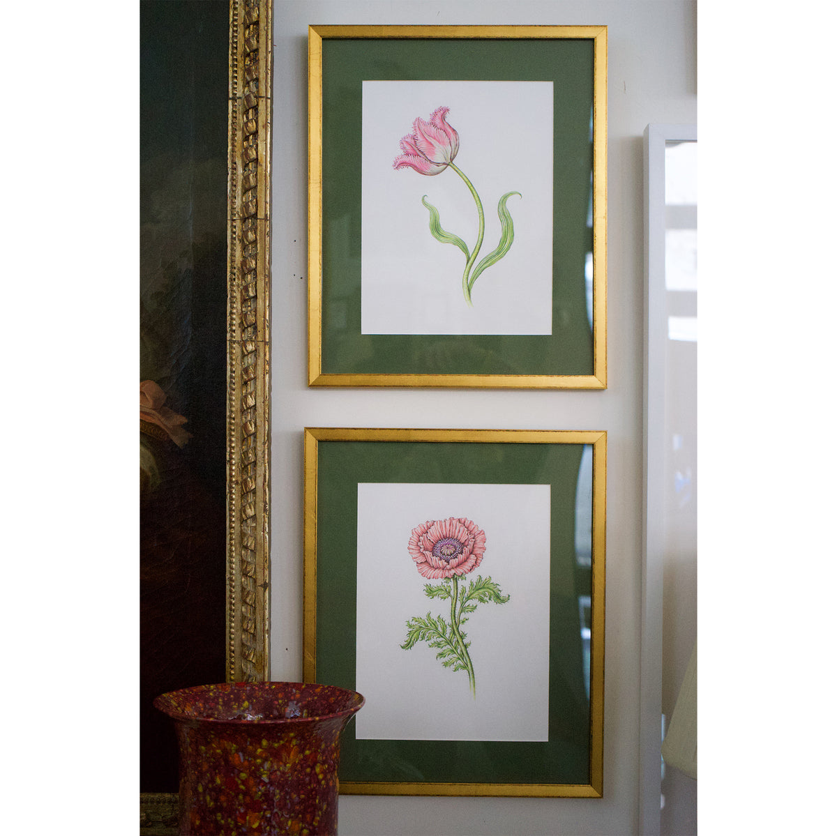 Jill Amadei, Pink Fancy Frills Fringed Tulip