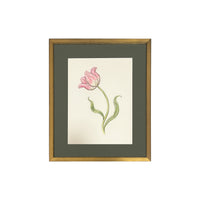 Jill Amadei, Pink Fancy Frills Fringed Tulip