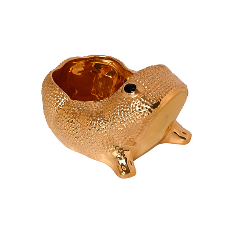 Medium Jean Roger Frog in Gold