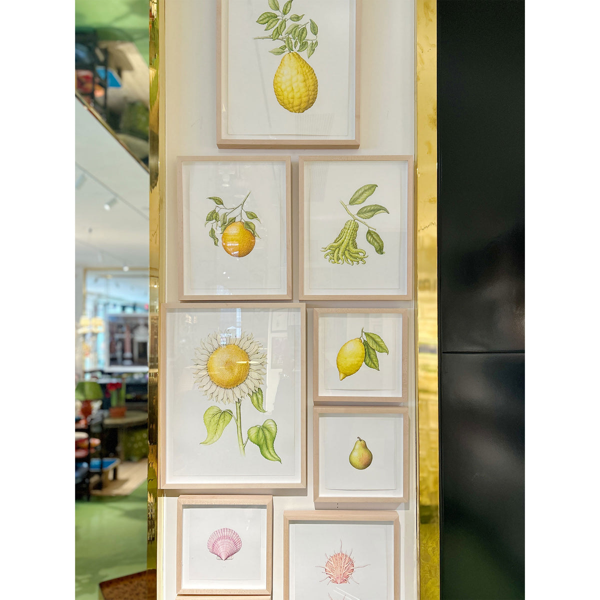 Jill Amadei, Bartlett Pear