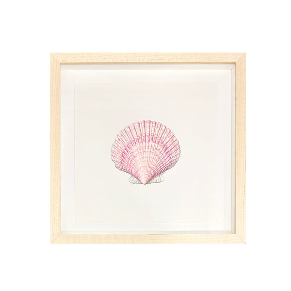 Jill Amadei, Purple Scallop Shell – KRB