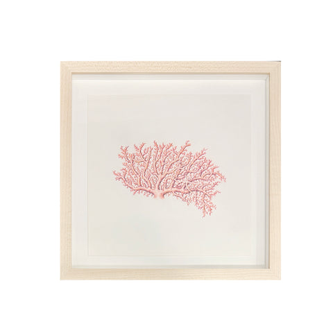Jill Amadei, Rose Lace Coral