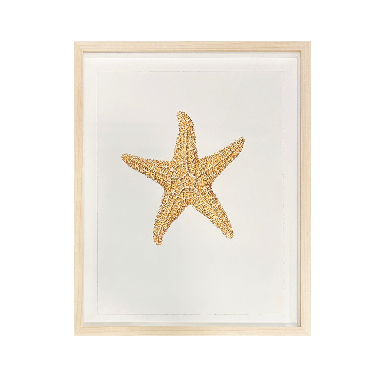 Jill Amadei, Sugar Starfish
