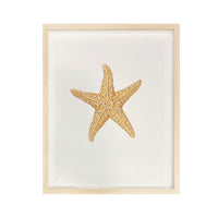 Jill Amadei, Sugar Starfish