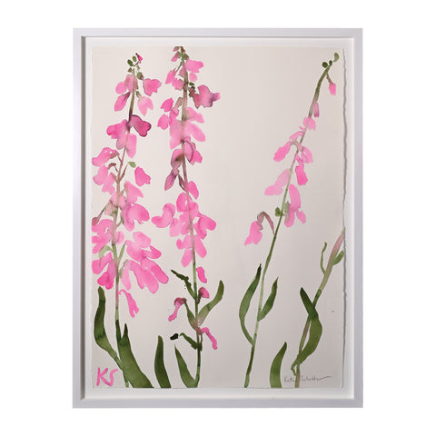 Kate Schelter, Foxgloves Maine Pink