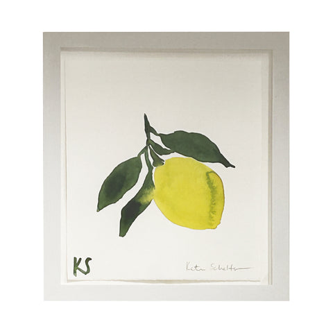 Kate Schelter, Lemon