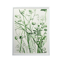 Kate Schelter, Queen Anne's Lace 9