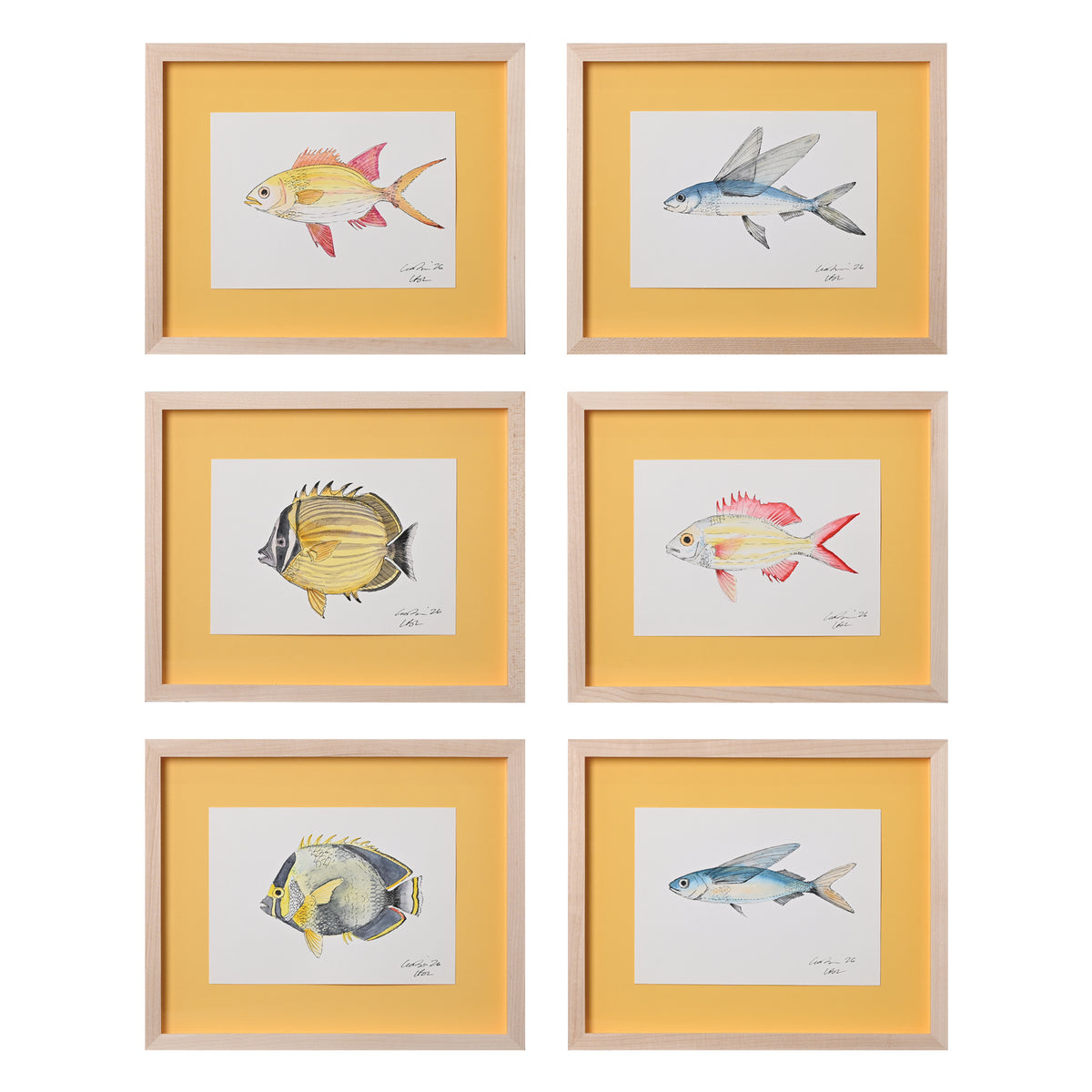 Lia Burke Libaire, Fish