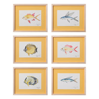 Lia Burke Libaire, Fish