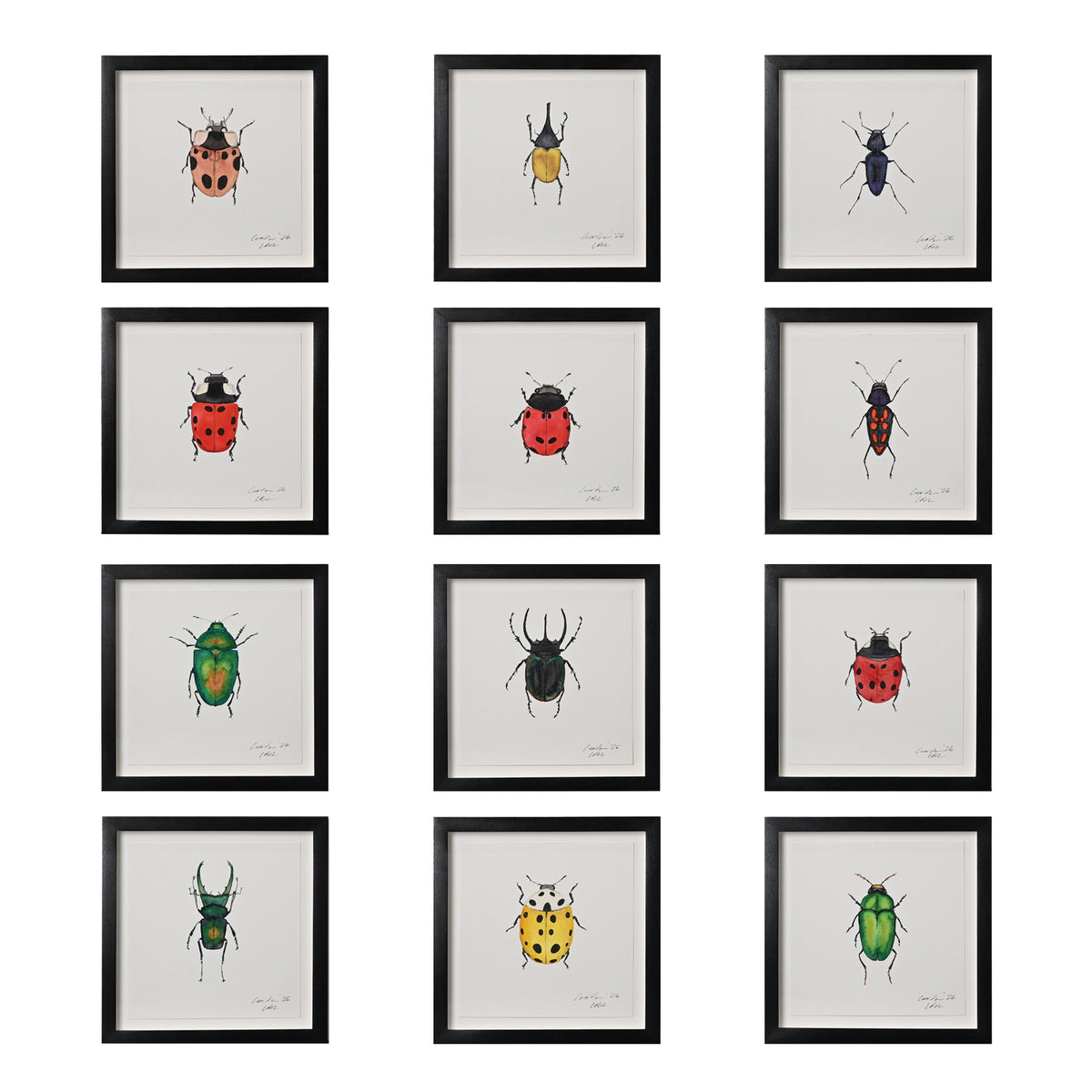 Lia Burke Libaire, Insect