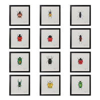 Lia Burke Libaire, Insect