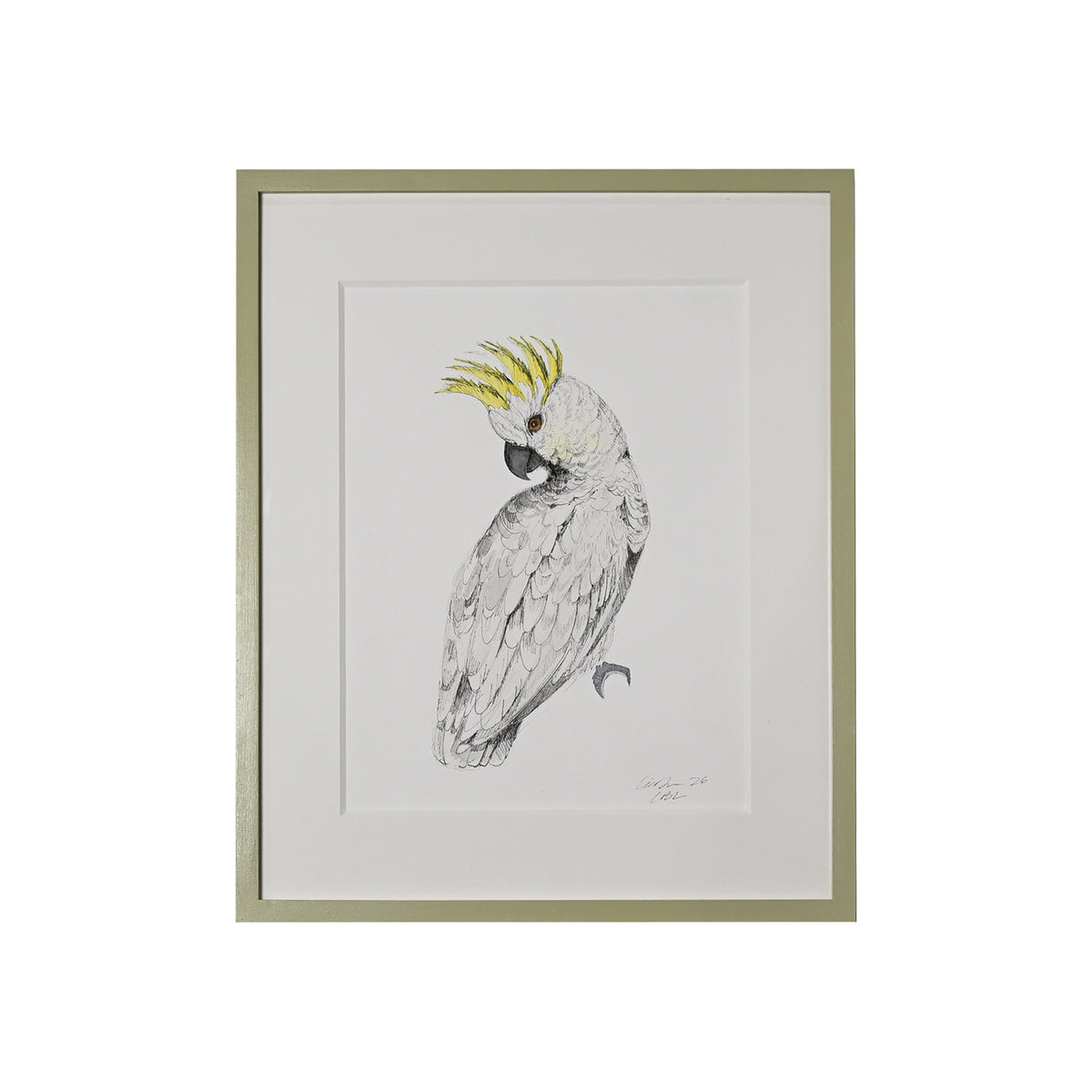 Lia Burke Libaire, Parakeet