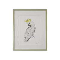 Lia Burke Libaire, Parakeet