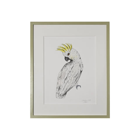 Lia Burke Libaire, Parakeet