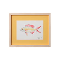 Lia Burke Libaire, Fish