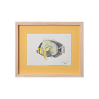Lia Burke Libaire, Fish