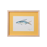 Lia Burke Libaire, Fish