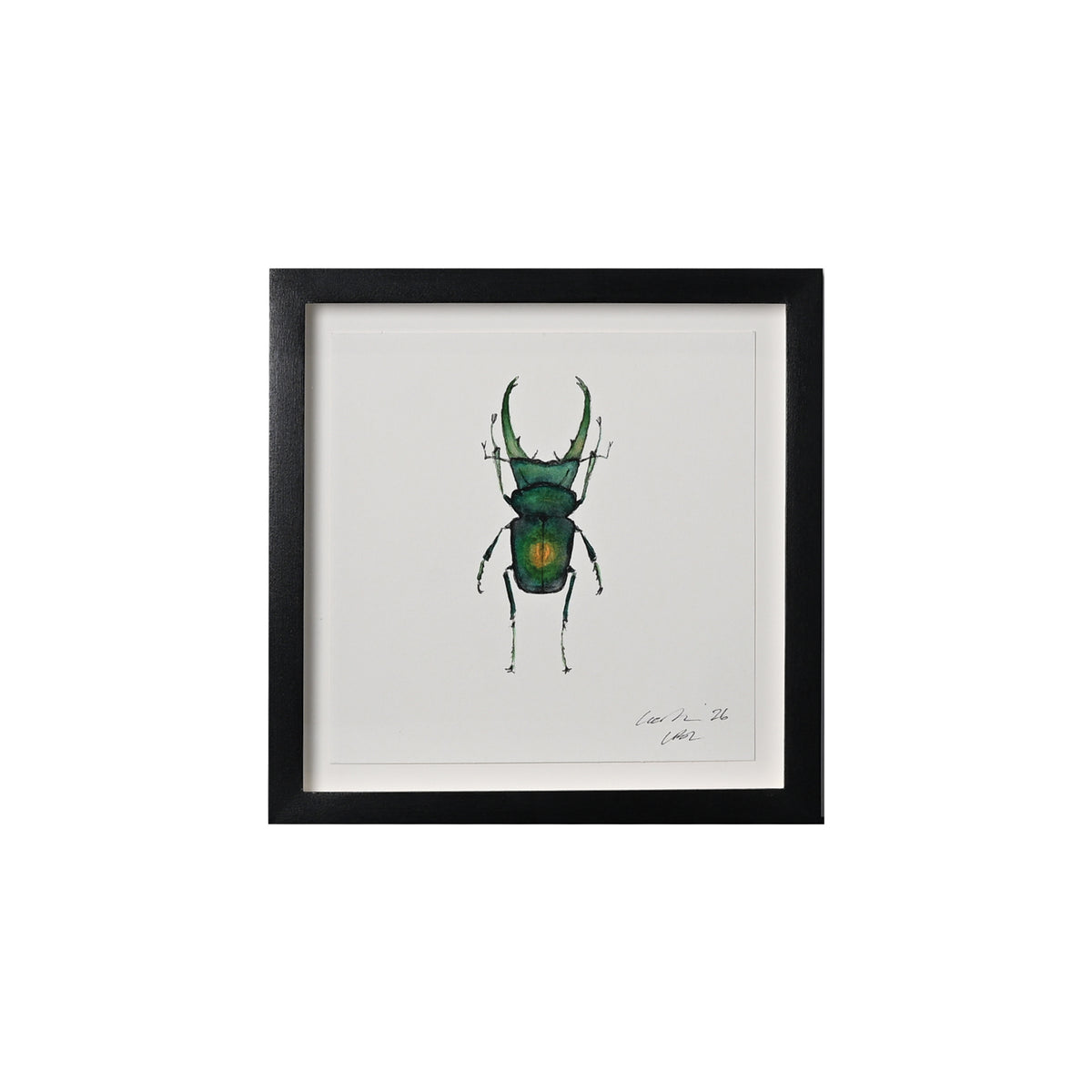 Lia Burke Libaire, Insect