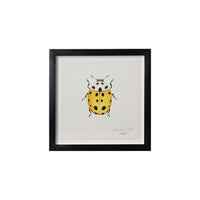 Lia Burke Libaire, Insect