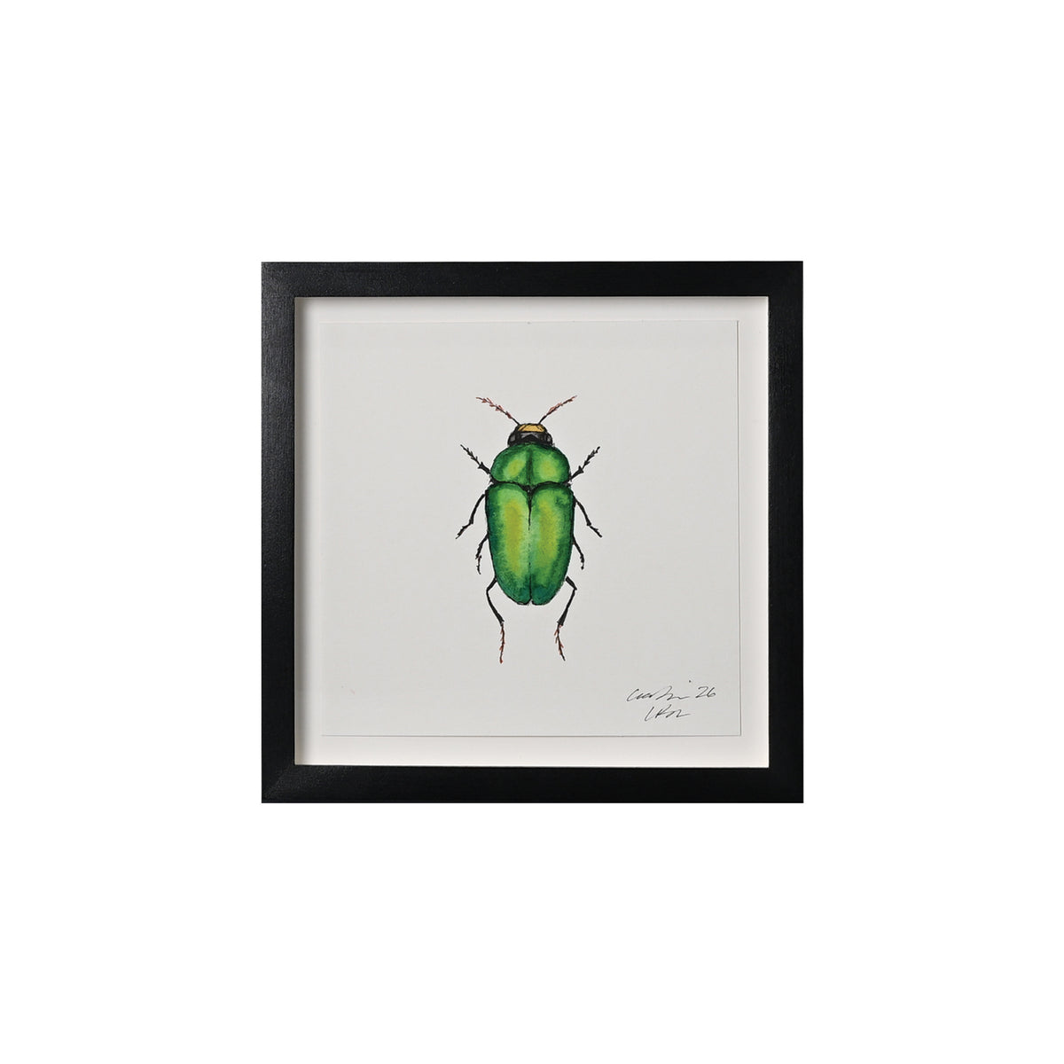 Lia Burke Libaire, Insect