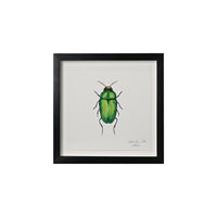 Lia Burke Libaire, Insect