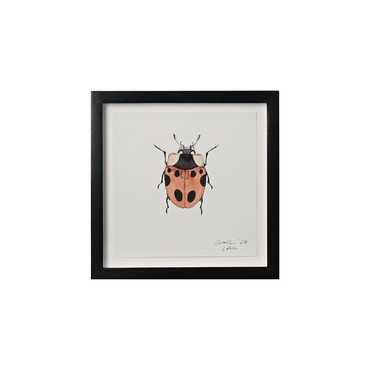 Lia Burke Libaire, Insect