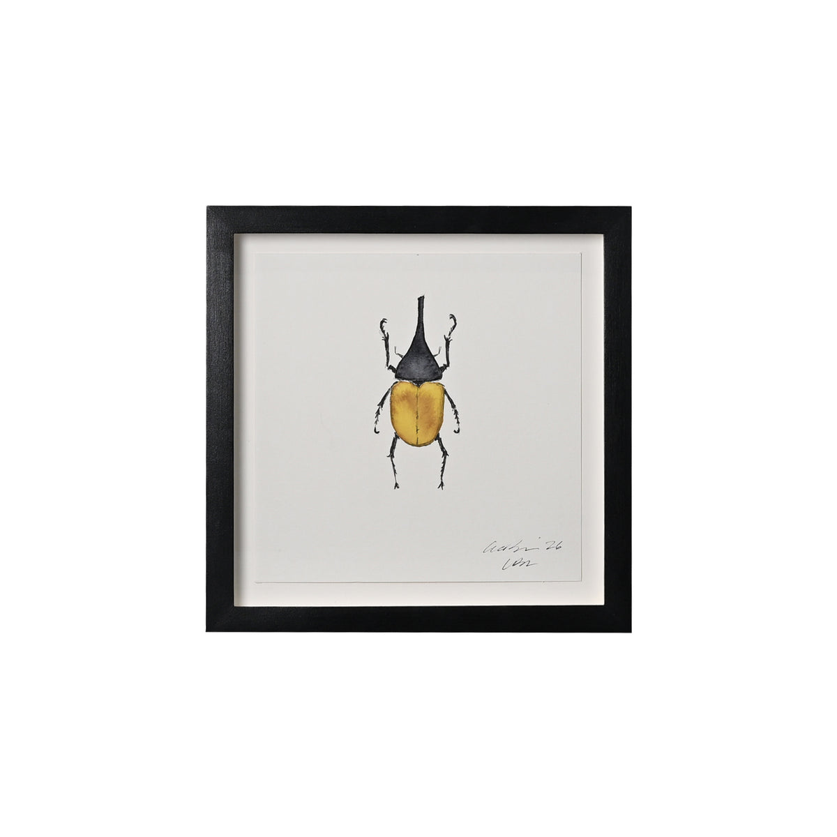 Lia Burke Libaire, Insect
