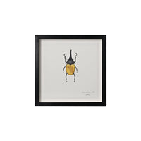 Lia Burke Libaire, Insect