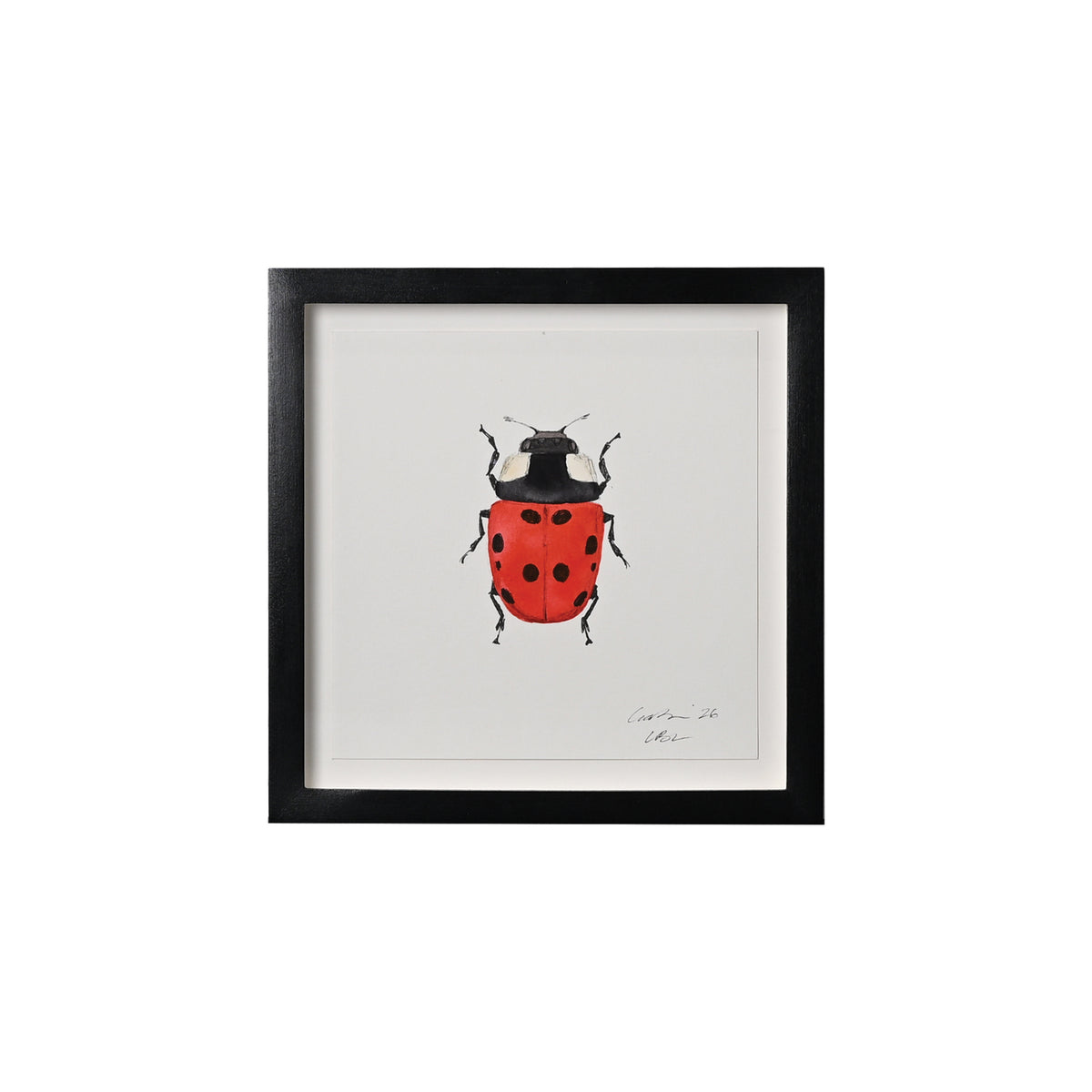 Lia Burke Libaire, Insect