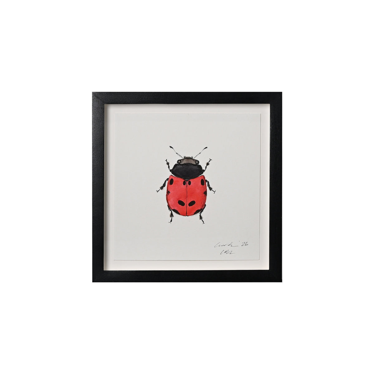 Lia Burke Libaire, Insect