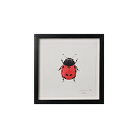 Lia Burke Libaire, Insect