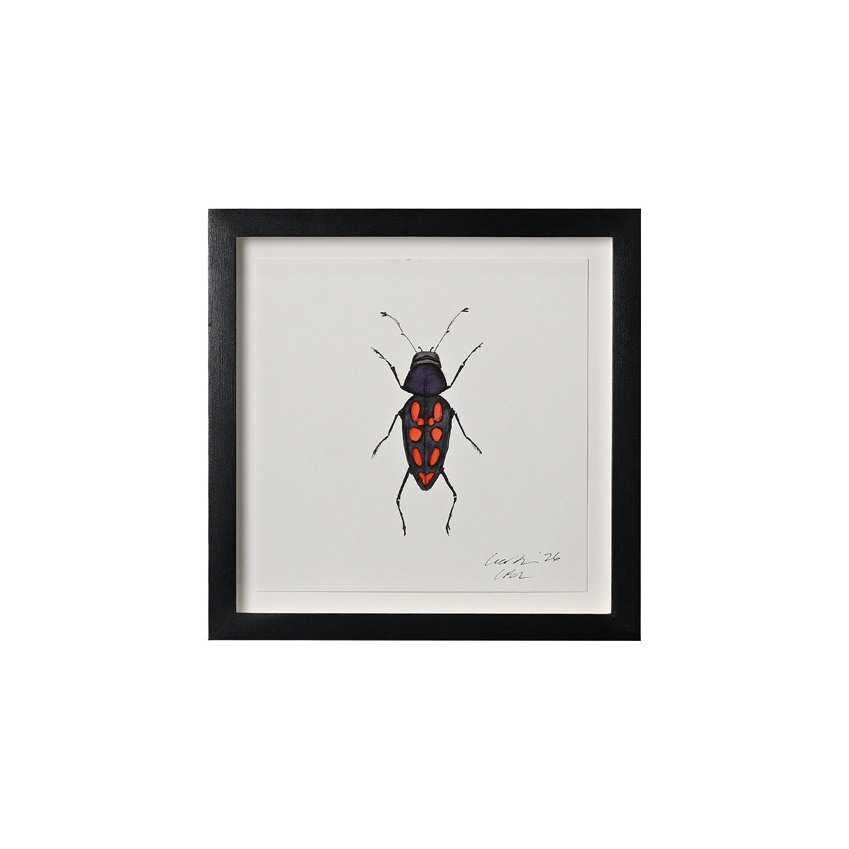 Lia Burke Libaire, Insect
