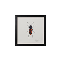 Lia Burke Libaire, Insect