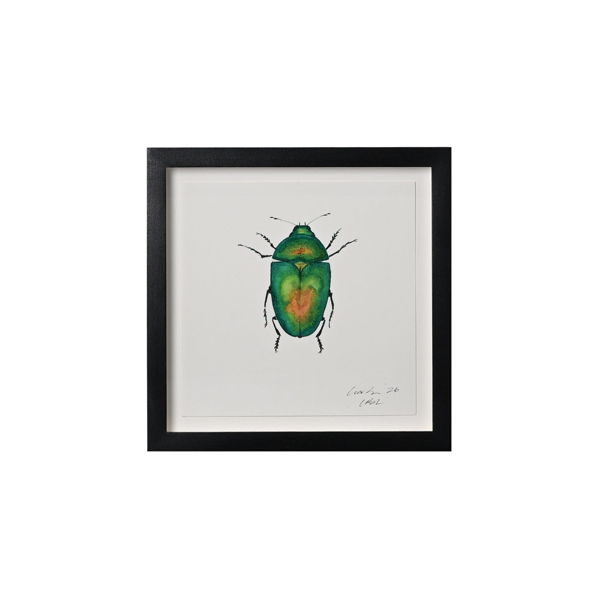 Lia Burke Libaire, Insect