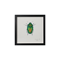 Lia Burke Libaire, Insect