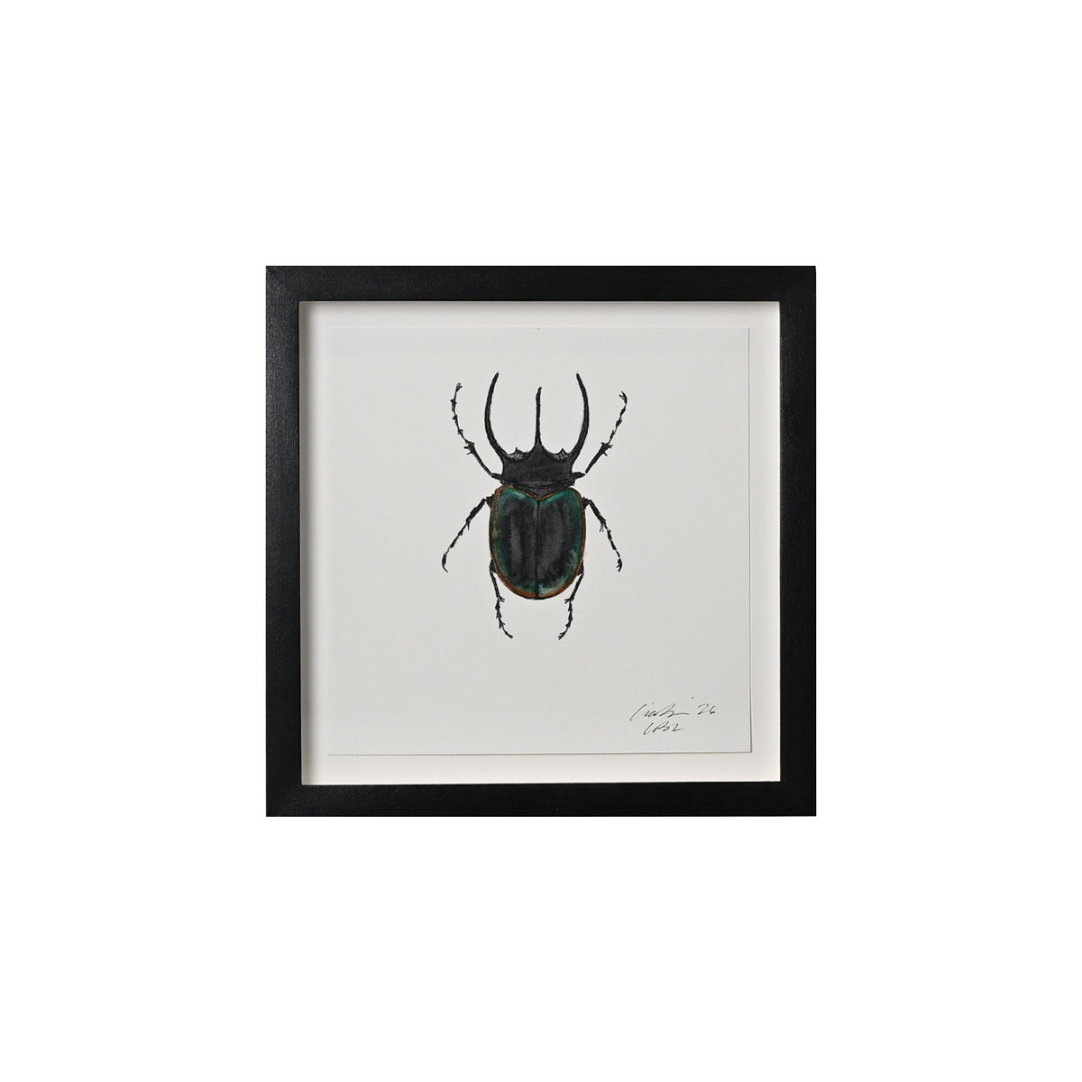 Lia Burke Libaire, Insect