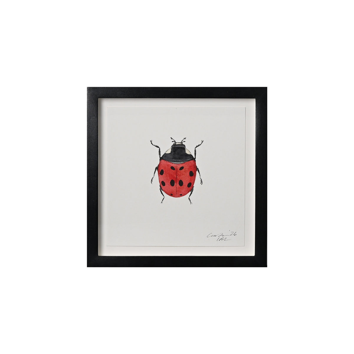 Lia Burke Libaire, Insect