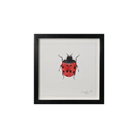 Lia Burke Libaire, Insect