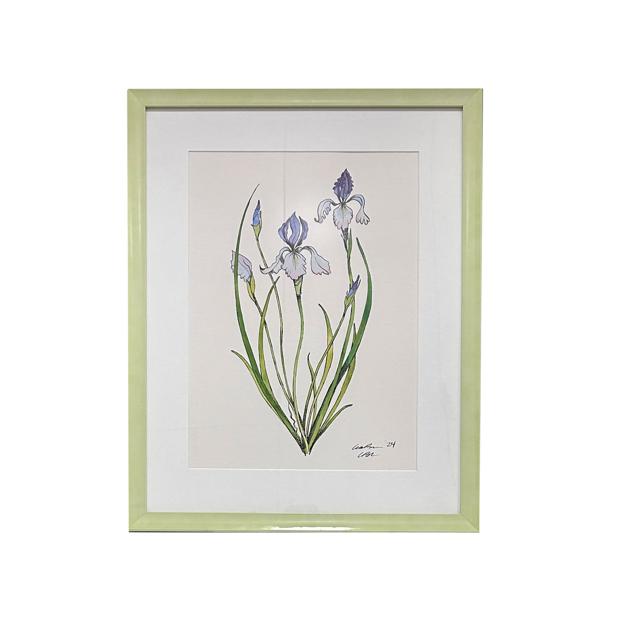 Lia Burke Libaire, Iris