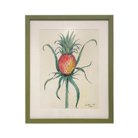 Lia Burke Libaire, Pair of Pineapples