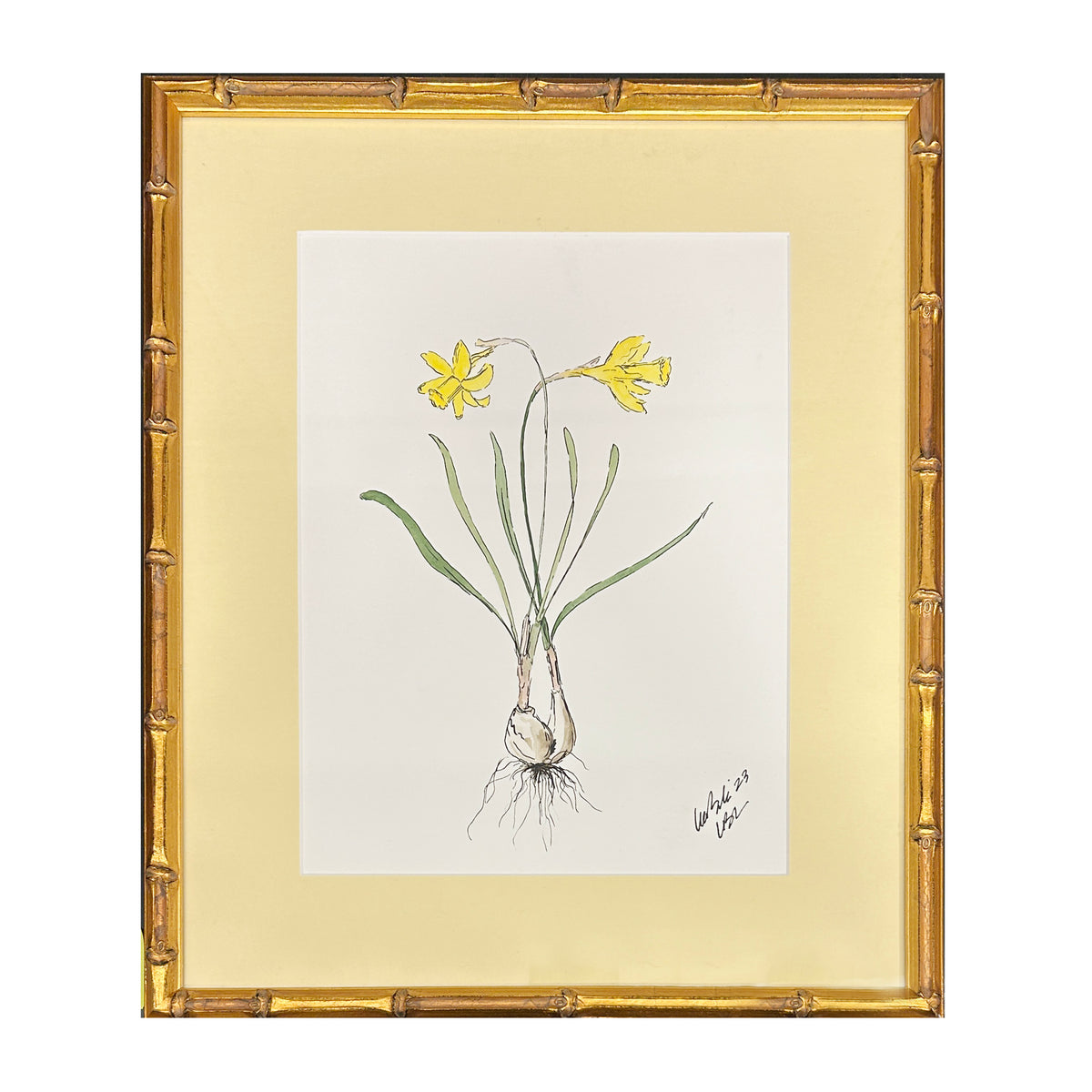 Lia Burke Libaire, Daffodils with Bulbs